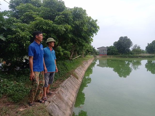 Hiệu quả kinh tế từ nuôi tôm càng xanh vùng đất trũng ngoại thành- Ảnh 2. Hiệu quả kinh tế từ nuôi tôm càng xanh vùng đất trũng ngoại thành- Ảnh 2.