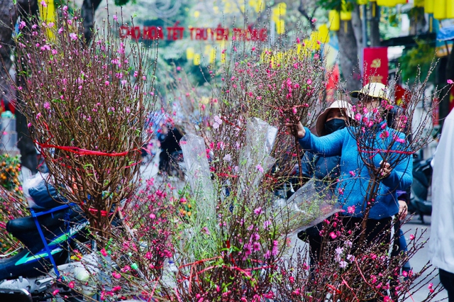 Hà Nội sẽ có 83 chợ hoa phục vụ Tết Nguyên đán 2024- Ảnh 1.
