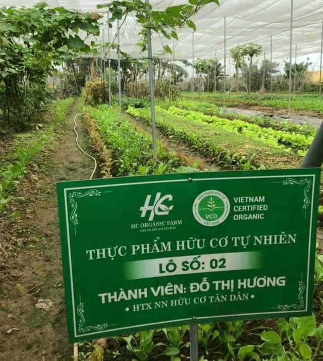 Chú trọng sản xuất rau an toàn cho sức khỏe người tiêu dùng- Ảnh 1. Chú trọng sản xuất rau an toàn cho sức khỏe người tiêu dùng- Ảnh 1.