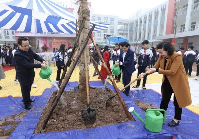 Hà Nội sẽ trồng 15.000 cây xanh trong trường học - Ảnh 1.