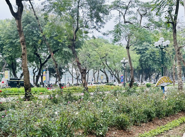 Nâng cao chất lượng, cảnh quan đô thị của các công viên trên địa bàn Thủ đô - Ảnh 1.