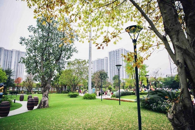 Hà Nội: Chú trọng bảo tồn không gian cây xanh, mặt nước trong quy hoạch đô thị - Ảnh 1.
