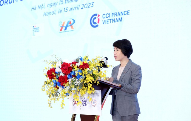 Diên đan doanh nghiêp Viêt Nam-Pháp: Cơ hội kết nối chính quyền và doanh nghiệp hai nước - Ảnh 4.