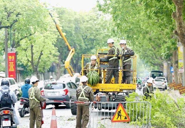 Hạ độ cao cho 50 nghìn cây xanh để ngăn ngừa rủi ro trong mùa mưa bão - Ảnh 1.