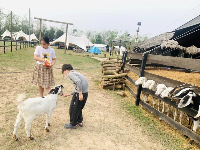 Cần đòn bẩy để phát triển du lịch nông nghiệp tại Hà Nội - Ảnh 1.