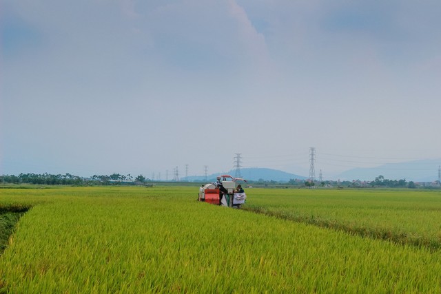 Nông thôn chuyển mình trong dòng chảy 15 năm- Ảnh 1.