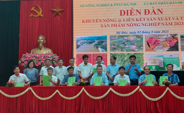 Đẩy mạnh liên kết tiêu thụ sản phẩm nông nghiệp - Ảnh 2. Đẩy mạnh liên kết tiêu thụ sản phẩm nông nghiệp - Ảnh 2.