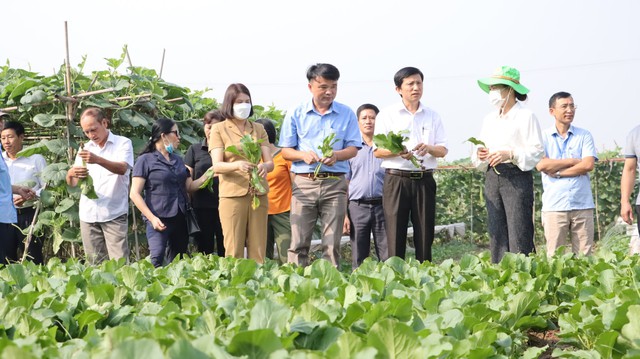 Nâng cao nhận thức sản xuất nông sản an toàn qua chương trình Khuyến nông - Ảnh 1.
