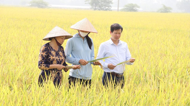 Cần phát triển nông nghiệp sạch, hướng tới xuất khẩu- Ảnh 1.