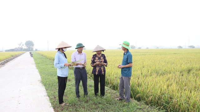 Chuyển biến rõ nét từ hiệu quả sản xuất nông nghiệp chuyên canh tập trung- Ảnh 2.