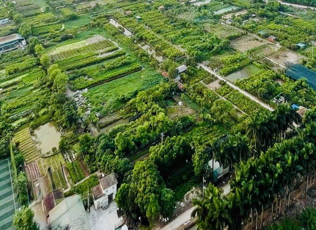 Hà Nội giao hơn 31.000m2 cho huyện Mê Linh để xây dựng trường học, trạm y tế- Ảnh 1.