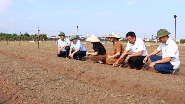 Khuyến nông Thủ đô cùng nông dân vượt khó, khôi phục sản xuất - Ảnh 3.