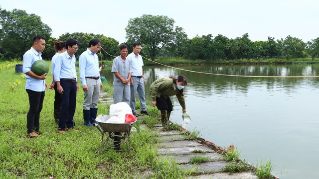 Hiệu quả từ kinh tế tuần hoàn trong nuôi trồng thủy sản- Ảnh 1.