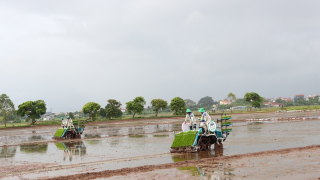 Phú Xuyên- Chuyển biến rõ nét từ ứng dụng cơ giới hóa vào sản xuất- Ảnh 1.