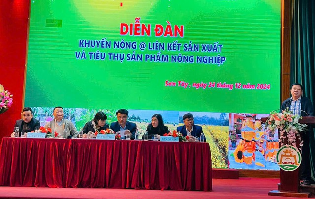 Liên kết sản xuất, tiêu thụ sản phẩm nông nghiệp an toàn- Ảnh 2.