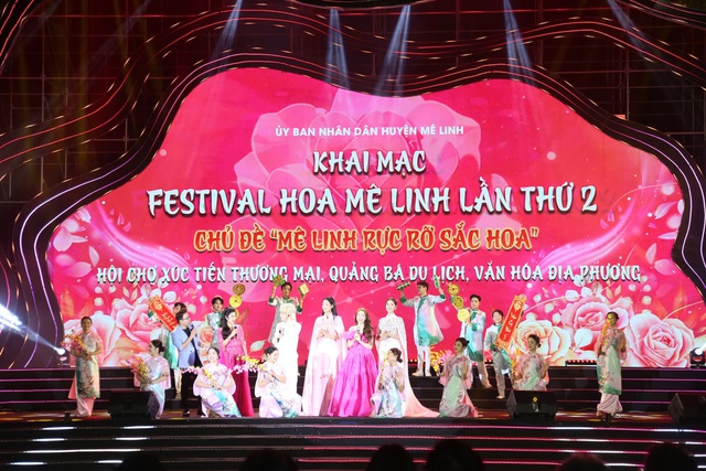 Khai mạc Festival hoa Mê Linh lần thứ 2- Ảnh 1.