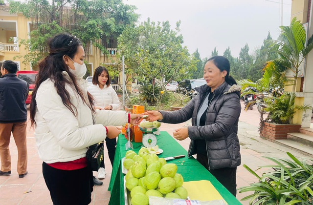 Kết nối tiêu thụ nông sản an toàn qua diễn đàn khuyến nông- Ảnh 1.