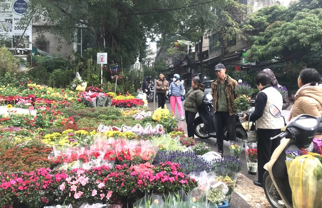 Rực rỡ sắc hoa Xuân trước thềm năm mới- Ảnh 6. Rực rỡ sắc hoa Xuân trước thềm năm mới- Ảnh 6.