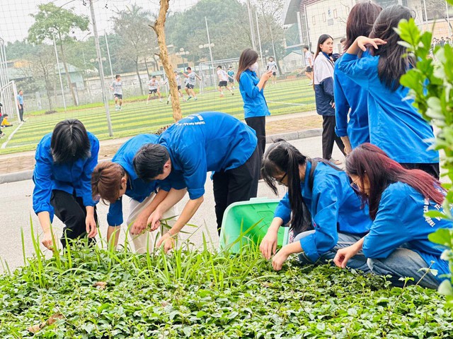 Phát huy tinh thần xung kích của tuổi trẻ Thủ đô- Ảnh 1.