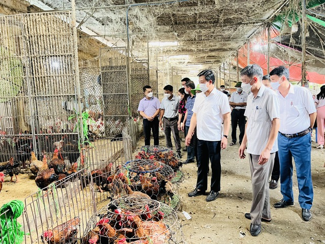 Kiểm tra phòng chống dịch bệnh tại chợ gia cầm lớn nhất miền Bắc- Ảnh 1. Kiểm tra phòng chống dịch bệnh tại chợ gia cầm lớn nhất miền Bắc- Ảnh 1.