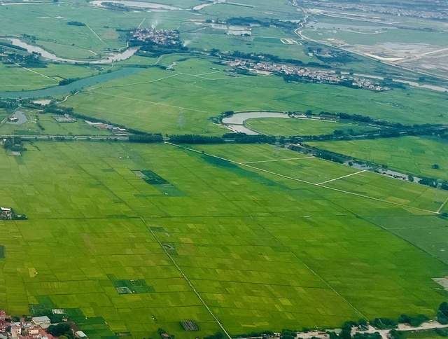 Tập trung gỡ vướng trong chuyển mục đích sử dụng đất trồng lúa trên địa bàn- Ảnh 2.