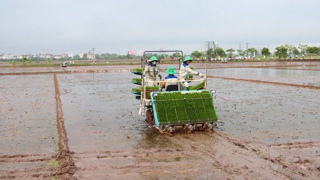 Chuyển biến rõ nét từ ứng dụng cơ giới hóa vào sản xuất nông nghiệp- Ảnh 1.