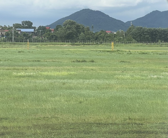 Hà Nội: Triển khai thi hành Luật Đất đai năm 2024- Ảnh 1.