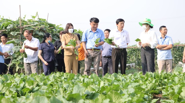 Nâng cao vai trò khuyến nông trong phát triển sản xuất nông nghiệp- Ảnh 1.