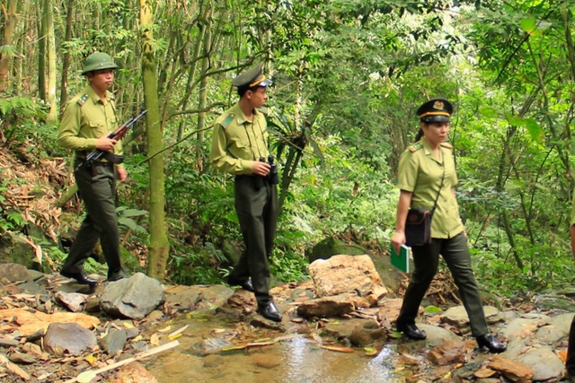 Tăng cường phối hợp bảo vệ và phát triển rừng- Ảnh 1. Tăng cường phối hợp bảo vệ và phát triển rừng- Ảnh 1.