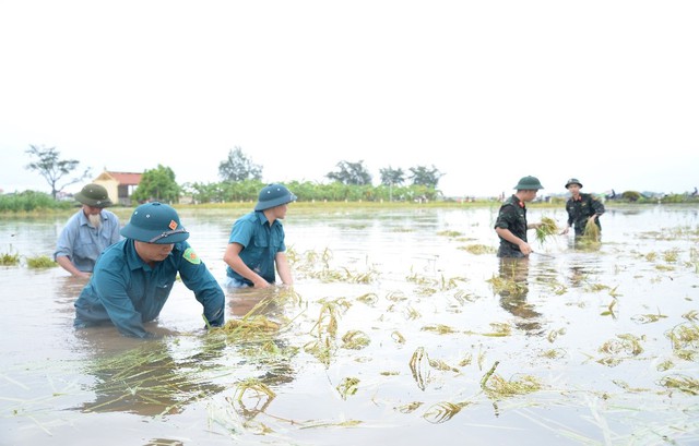 Kiểm tra công tác ứng phó mưa lũ tại Ba Vì- Ảnh 2.