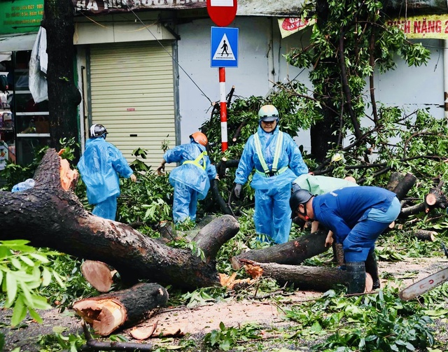 Tiếp tục huy động 100% lao động thu dọn cây đổ- Ảnh 1.