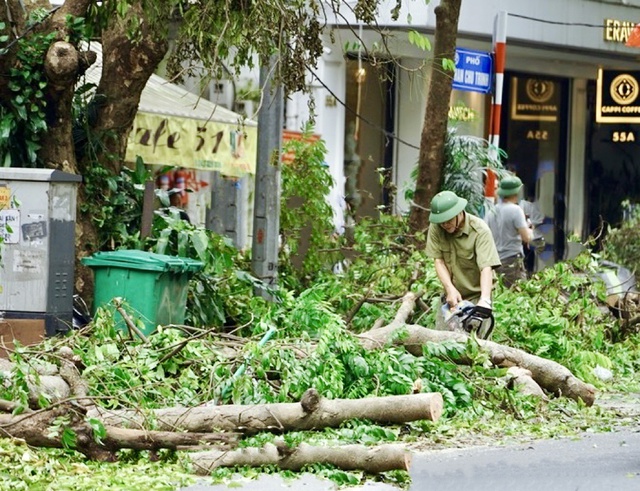 Hà Nội cơ bản giải tỏa cây xanh đổ gãy, bảo đảm an toàn giao thông thuận tiện- Ảnh 1.