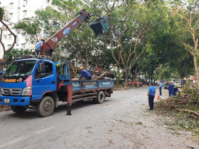 Huy động tổng lực làm sạch phố phường, khắc phục hậu quả bão số 3- Ảnh 1.