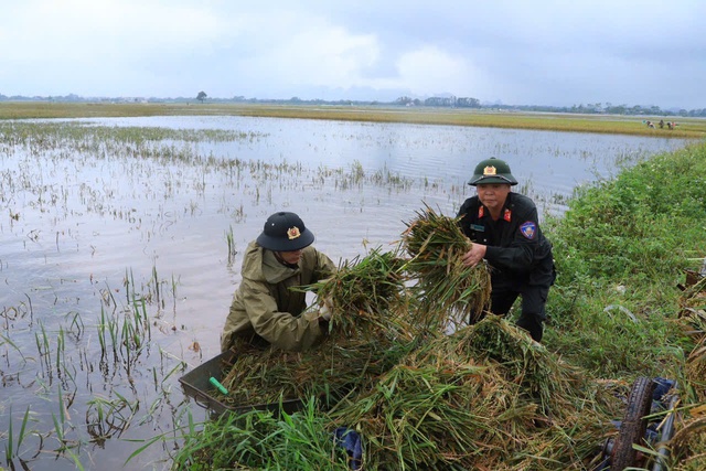 Mực nước tiếp tục lên, các địa phương tích cực phòng chống thiệt hại thiên tai- Ảnh 2.