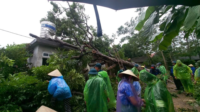 Cảnh báo lũ rừng ngang do mưa bão- Ảnh 1.