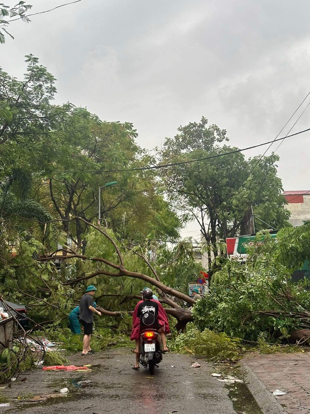 Bí thư Hà Nội: Không để thiếu thực phẩm, thuốc men, vật tư y tế- Ảnh 3.