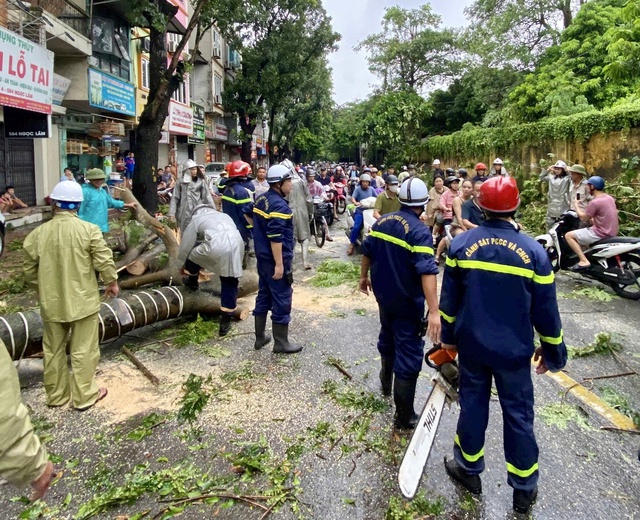 Huy động toàn bộ lực lượng khẩn trương giải tỏa, thu dọn cây xanh gẫy đổ sau bão- Ảnh 1.