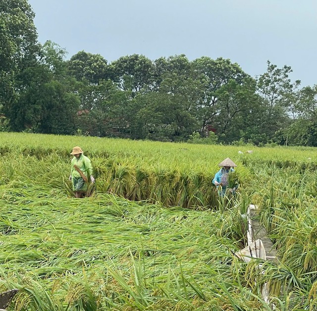 Mực nước trên sông Bùi, sông Tích trên mức báo động II- Ảnh 2.