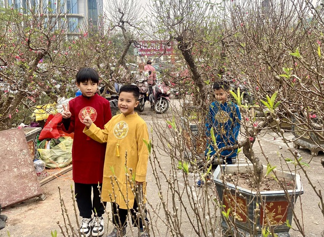 Hoa, cây cảnh đua nhau ‘khoe sắc’ dịp cận Tết- Ảnh 8.