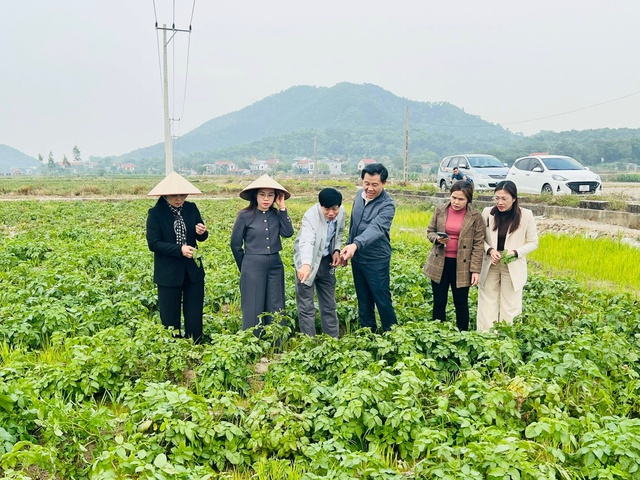 Phát triển mô hình khuyến nông đa dạng, hiệu quả- Ảnh 1.