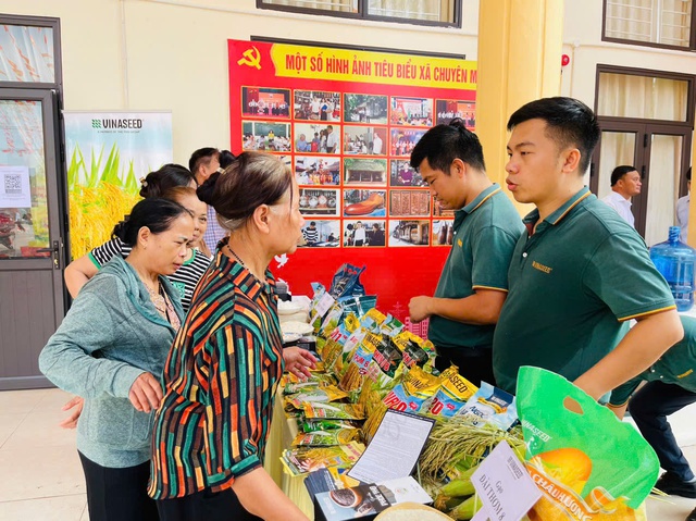 Hiệu quả năng suất từ mô hình mạ khay, cấy máy- Ảnh 3.