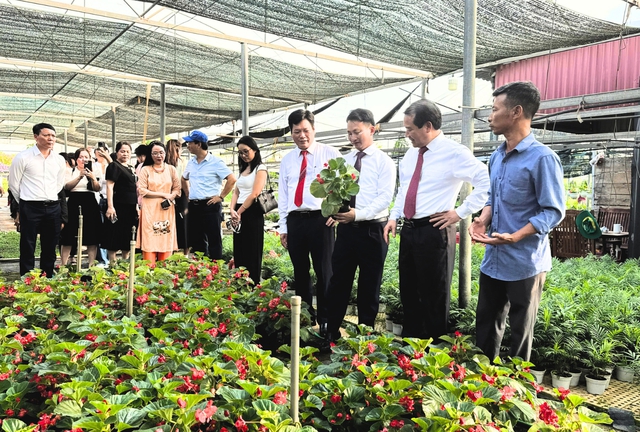'Sắc hoa Tường Phiêu' - Sản phẩm du lịch nông thôn độc đáo của Hà thành- Ảnh 1. 'Sắc hoa Tường Phiêu' - Sản phẩm du lịch nông thôn độc đáo của Hà thành- Ảnh 1.