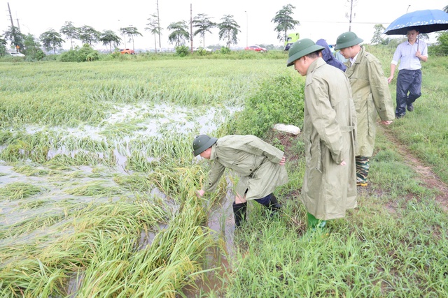 Ứng phó mưa lũ lớn do hoàn lưu bão 11 gây ra- Ảnh 1.