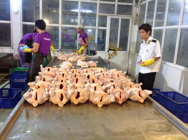 Xử lý dứt điểm 'chợ cóc, chợ tạm' và cơ sở giết mổ nhỏ lẻ- Ảnh 1.