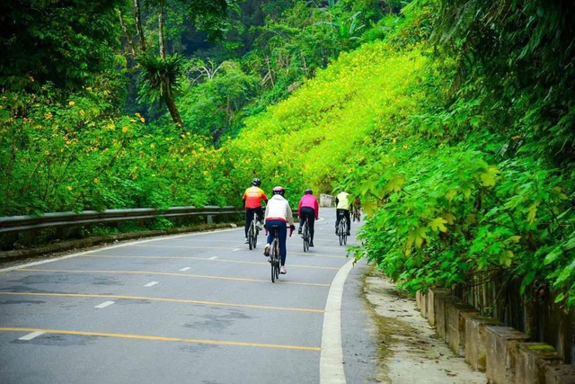 Hoa dã quỳ nở rộ, thu hút du khách tới Ba Vì- Ảnh 7.