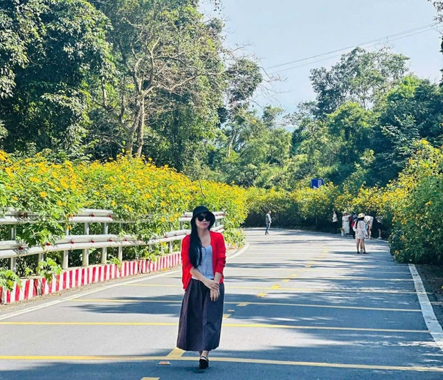 Hoa dã quỳ nở rộ, thu hút du khách tới Ba Vì- Ảnh 2.