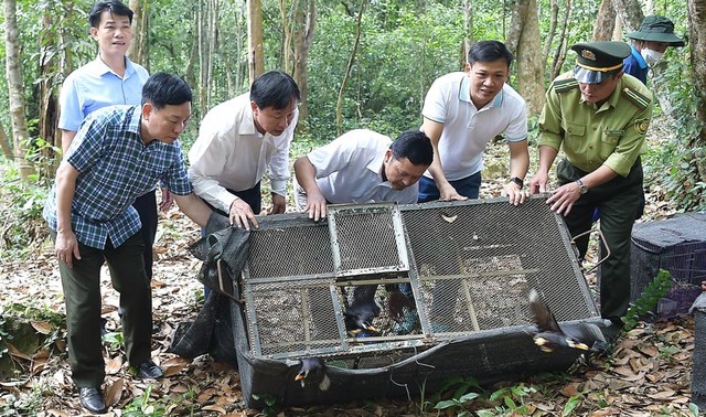 Yêu cầu nhà hàng ký cam kết không tiêu thụ động vật hoang dã- Ảnh 1.