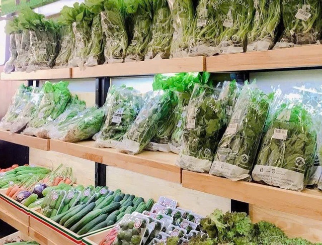 Đẩy mạnh sản xuất rau an toàn ứng dụng công nghệ cao- Ảnh 1.