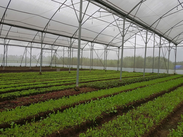 Siết chặt an toàn thực phẩm trước nhu cầu tiêu dùng ngày càng lớn- Ảnh 2.