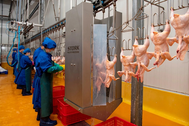 Hà Nội siết chặt an toàn thực phẩm mùa lễ, Tết- Ảnh 2. Hà Nội siết chặt an toàn thực phẩm mùa lễ, Tết- Ảnh 2.